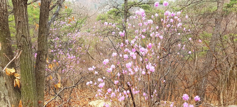 北漢山国立公園 (36/48)