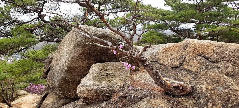 北漢山国立公園 (37/48)