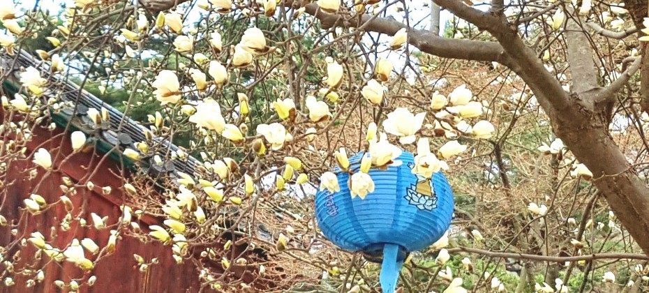 北漢山国立公園 (39/48)