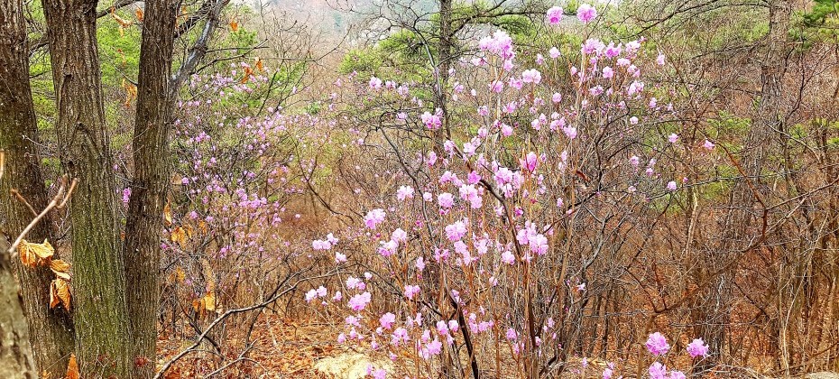 北漢山国立公園 (44/48)