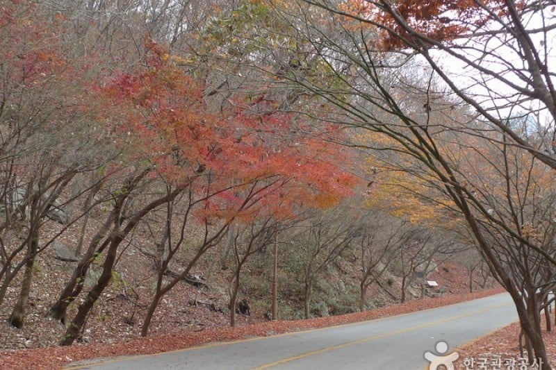 内蔵山国立公園 (2/40)