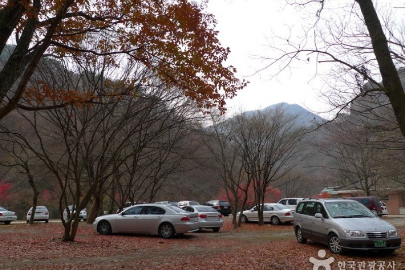 内蔵山国立公園 (3/40)