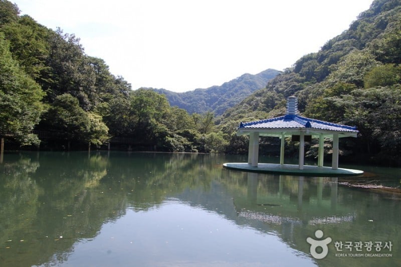 内蔵山国立公園 (9/40)