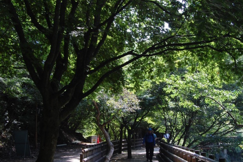 内蔵山国立公園 (10/40)