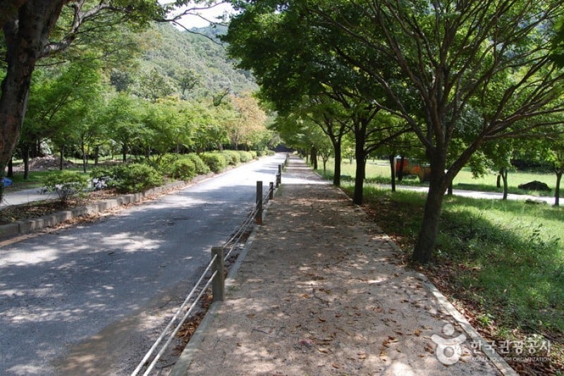 内蔵山国立公園 (12/40)