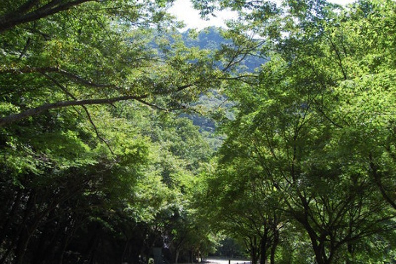 内蔵山国立公園 (13/40)