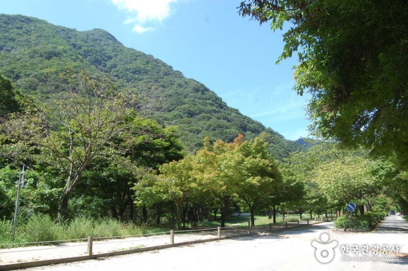 内蔵山国立公園 (14/40)
