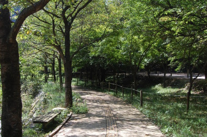 内蔵山国立公園 (15/40)