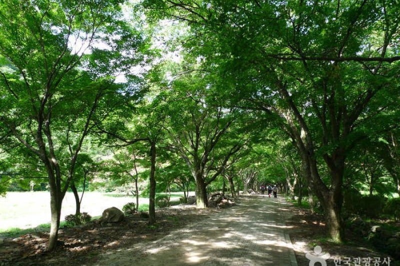 内蔵山国立公園 (17/40)
