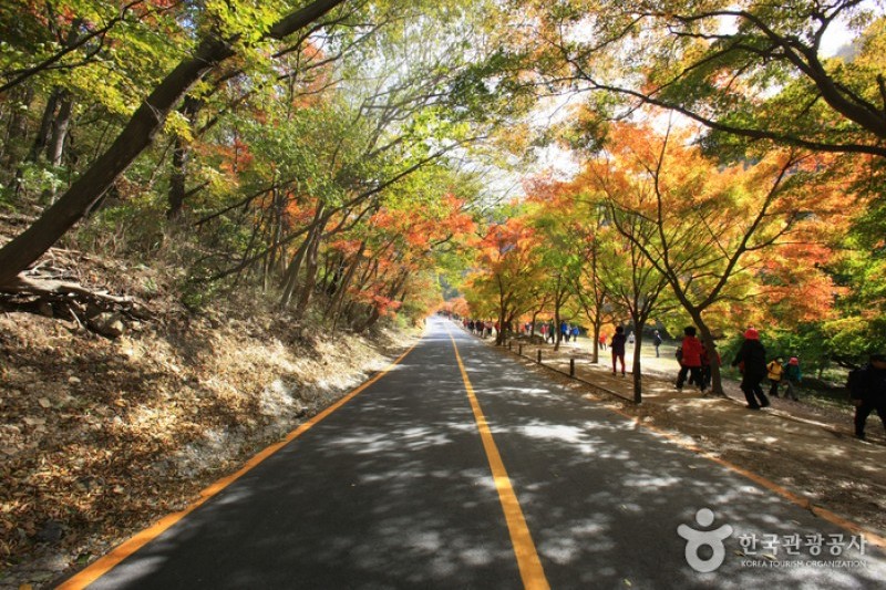 内蔵山国立公園 (18/40)