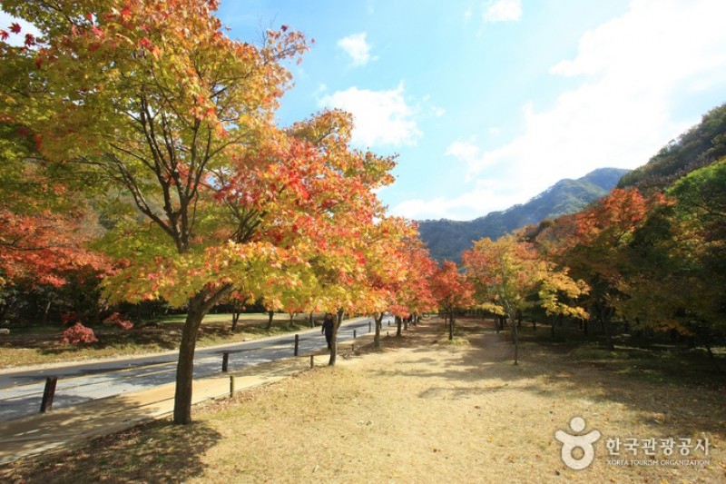 内蔵山国立公園 (19/40)
