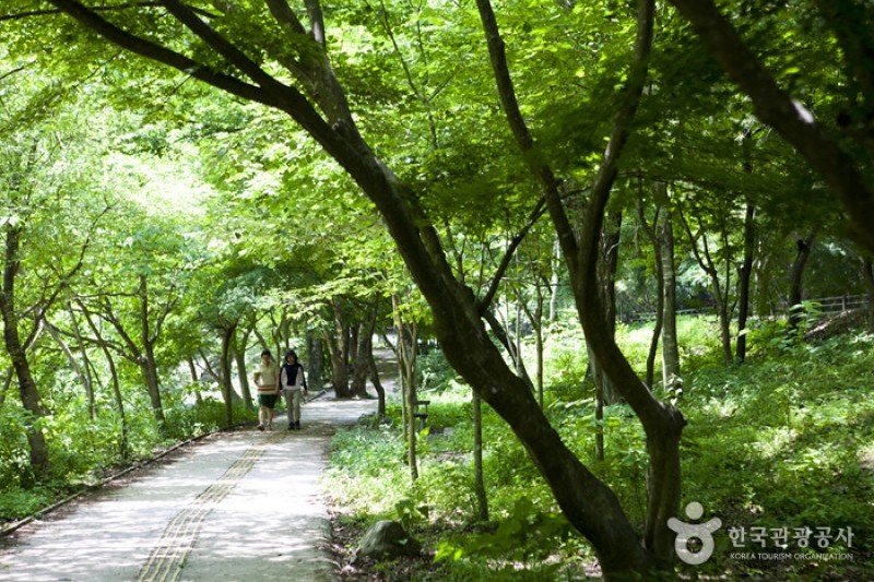 内蔵山国立公園 (23/40)