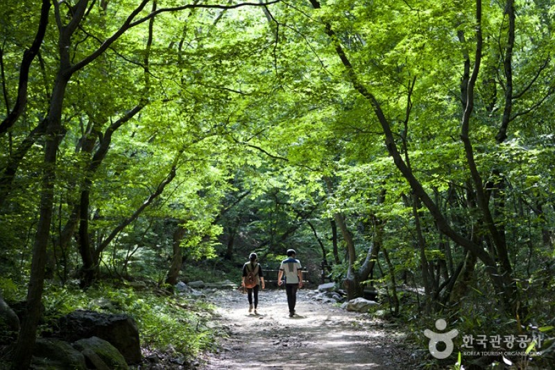 内蔵山国立公園 (28/40)