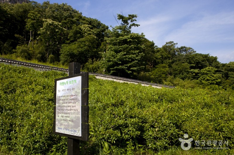 内蔵山国立公園 (32/40)