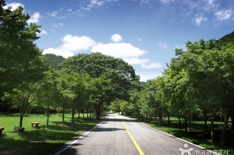 内蔵山国立公園 (34/40)
