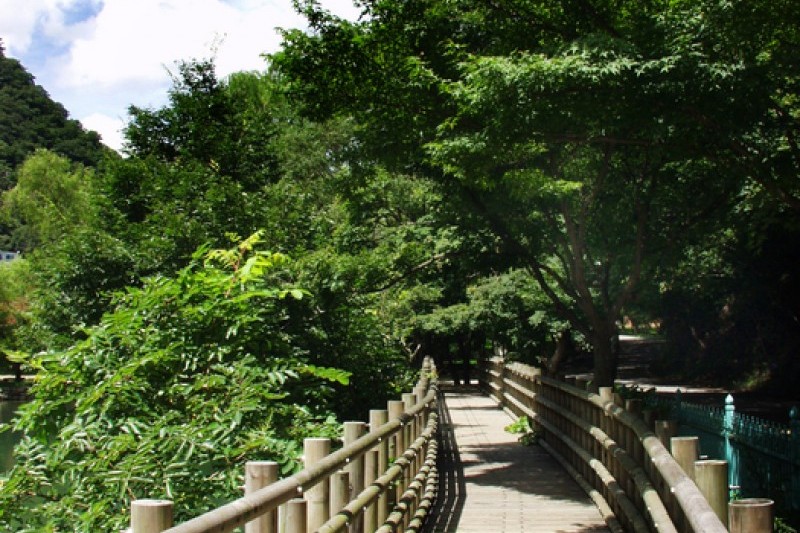 内蔵山国立公園 (35/40)