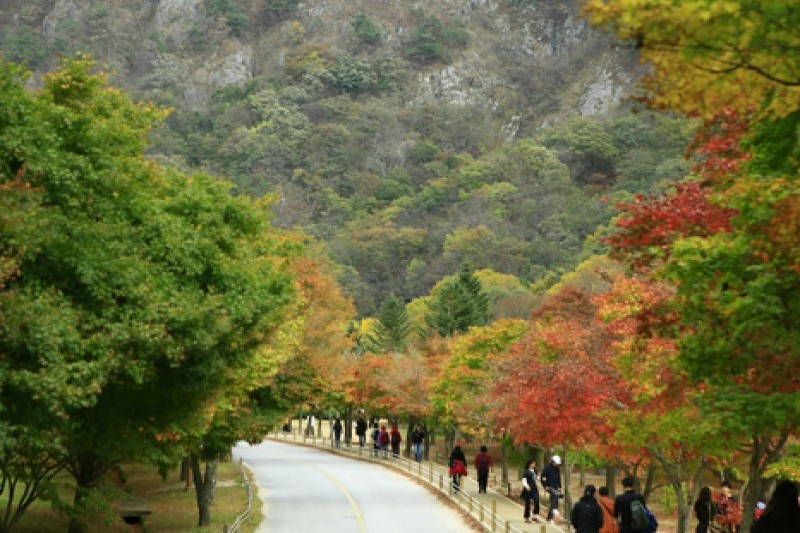 内蔵山国立公園 (39/40)