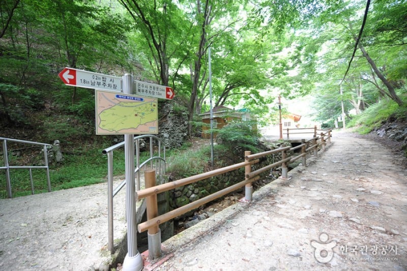 馬耳山道立公園 (2/22)