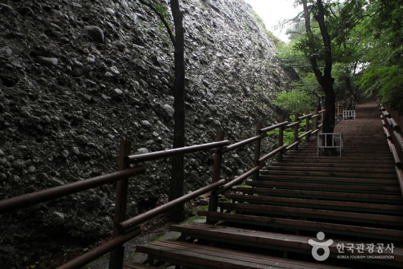 馬耳山道立公園 (6/22)