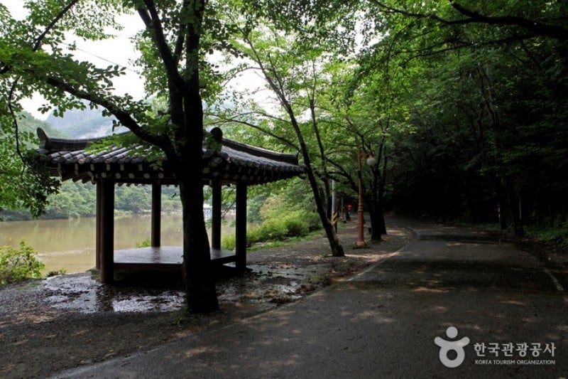馬耳山道立公園 (12/22)
