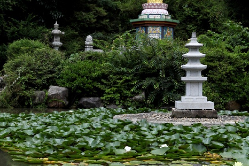 馬耳山道立公園 (13/22)