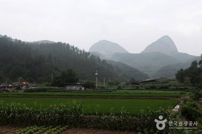馬耳山道立公園 (17/22)