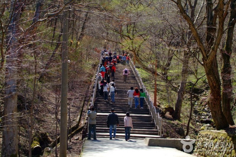 馬耳山道立公園 (18/22)
