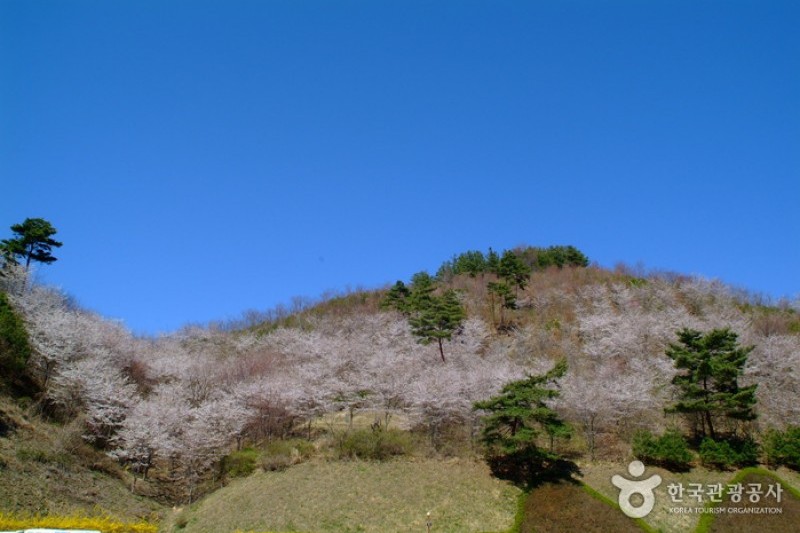 馬耳山道立公園 (19/22)