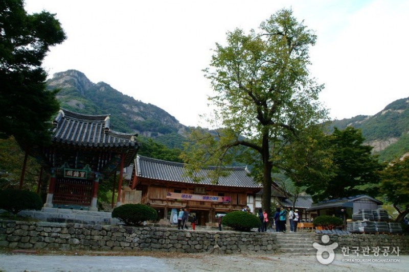 来蘇寺 (1/34)