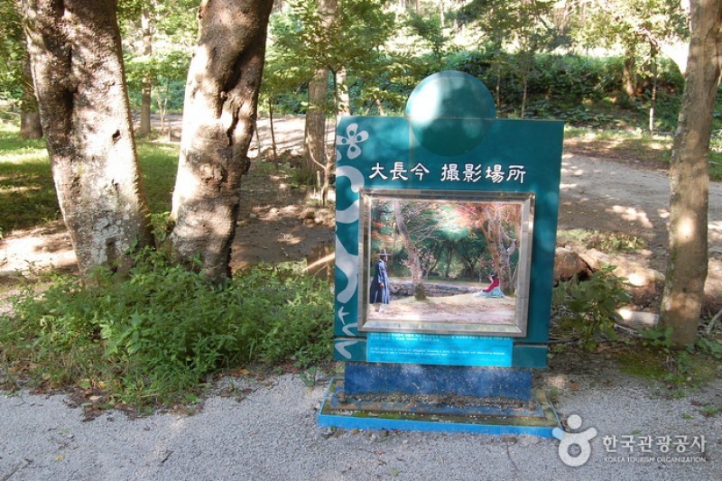 来蘇寺 (2/34)
