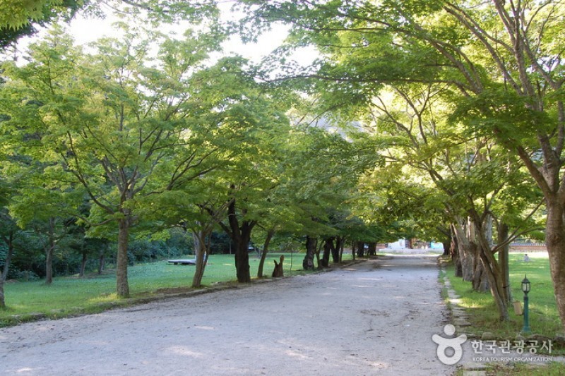 来蘇寺 (3/34)