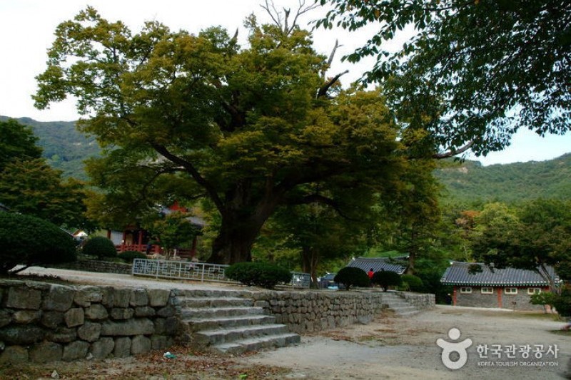 来蘇寺 (30/34)