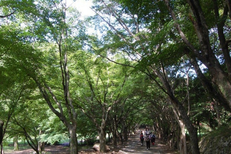 内蔵寺 (1/39)