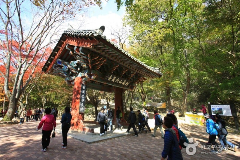 内蔵寺 (6/39)