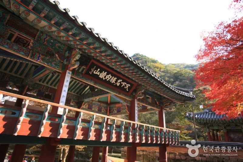 内蔵寺 (10/39)
