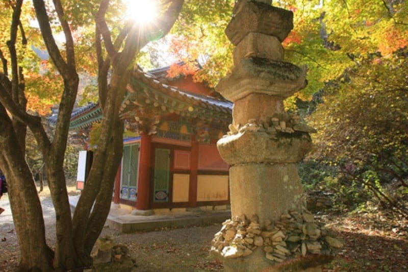内蔵寺 (12/39)