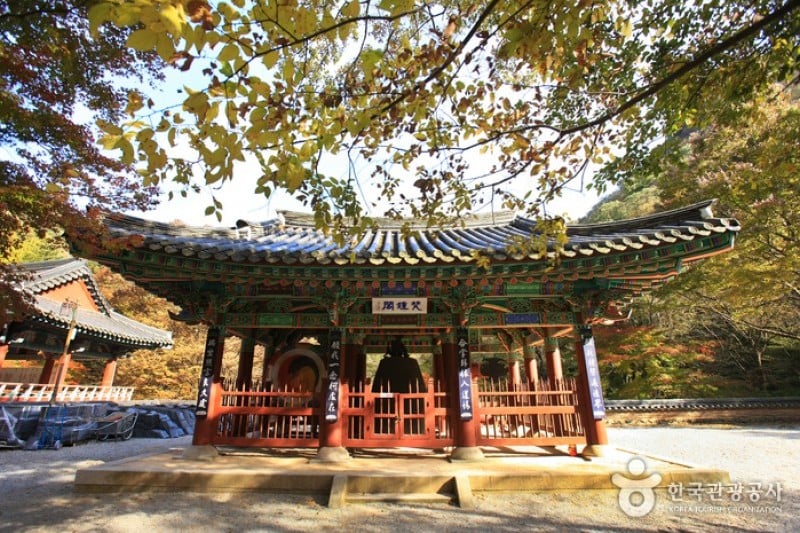 内蔵寺 (18/39)