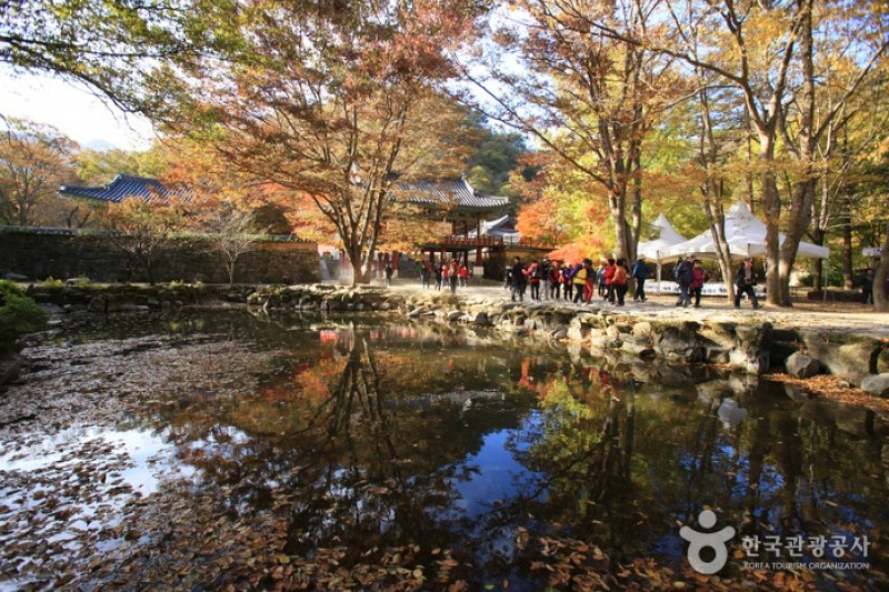 内蔵寺 (19/39)