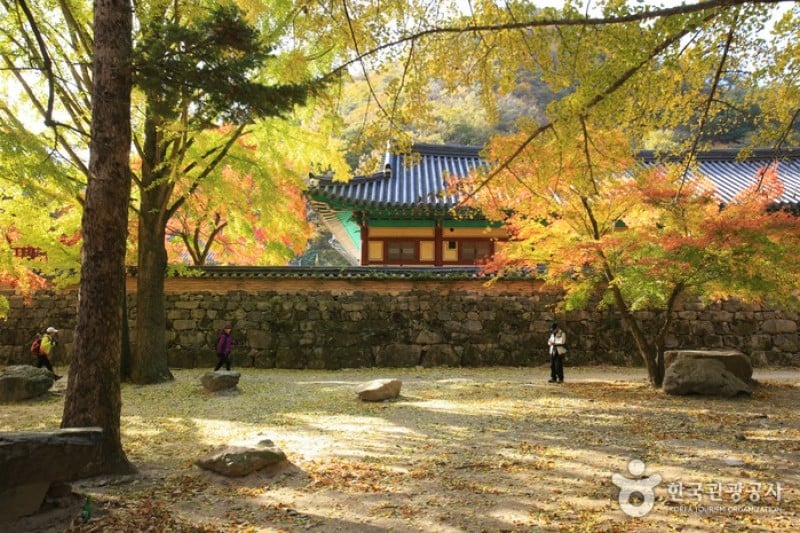 内蔵寺 (20/39)