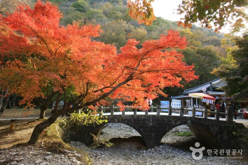 内蔵寺 (21/39)
