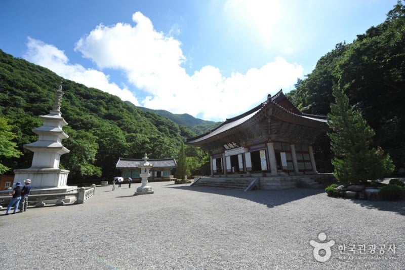 内蔵寺 (24/39)