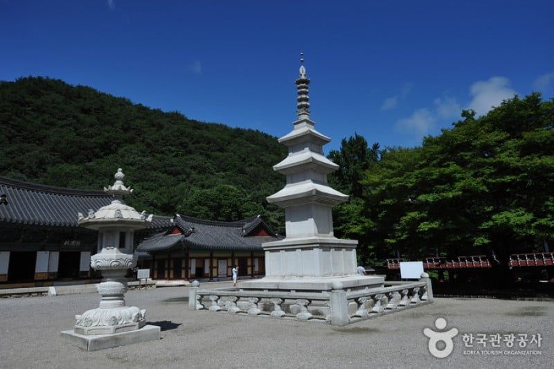 内蔵寺 (25/39)