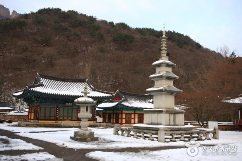 内蔵寺 (37/39)