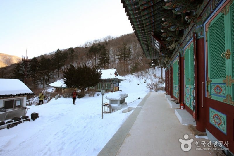 白蓮寺（徳裕山）（ (7/25)