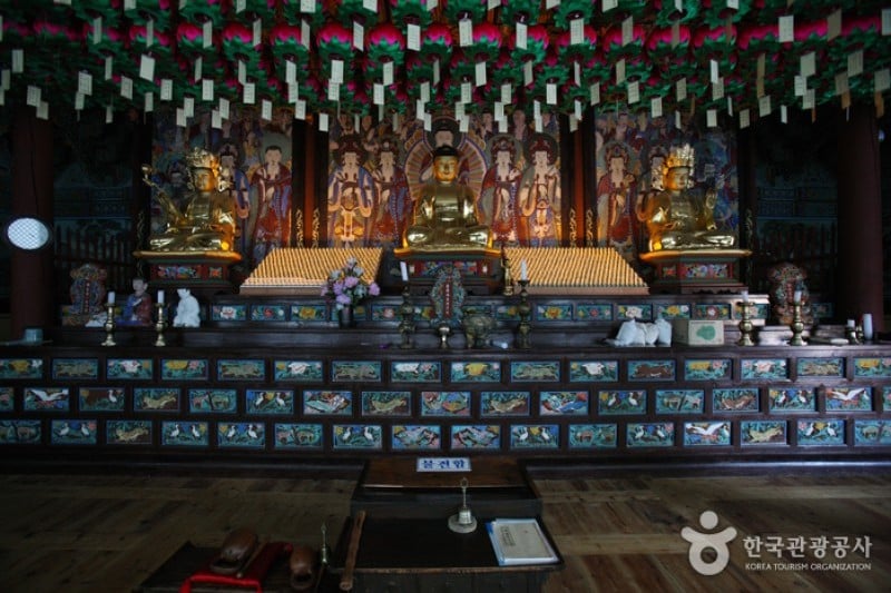 白蓮寺（徳裕山）（ (8/25)
