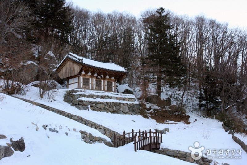 白蓮寺（徳裕山）（ (12/25)