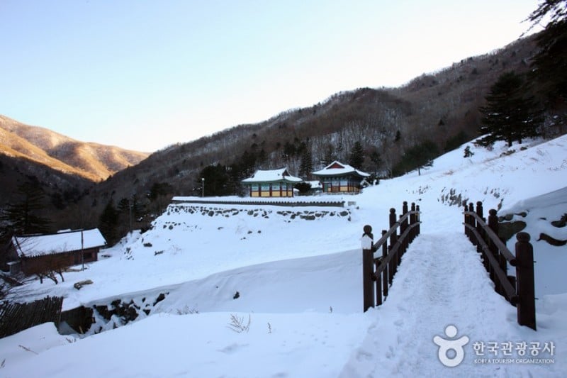 白蓮寺（徳裕山）（ (14/25)