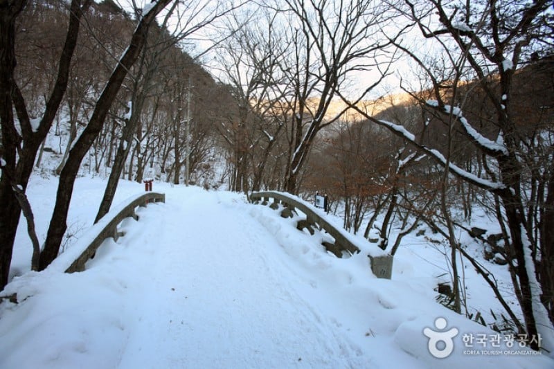 白蓮寺（徳裕山）（ (21/25)