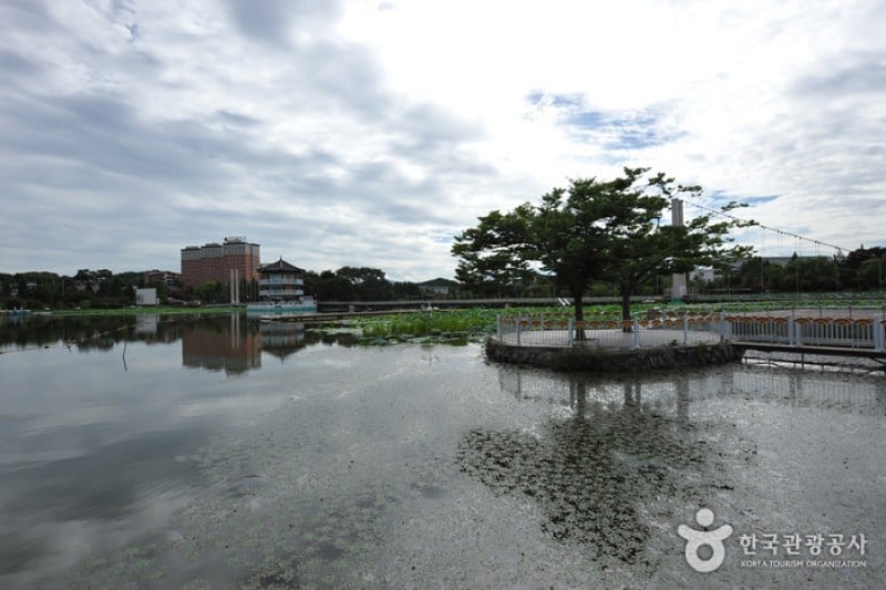 徳津公園 (6/18)