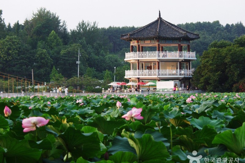 徳津公園 (9/18)